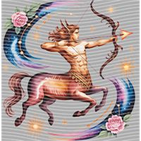 Constellation-XZ 196